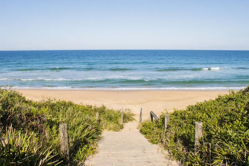 Boardwalk leading through coastal plants to Diamond Beach